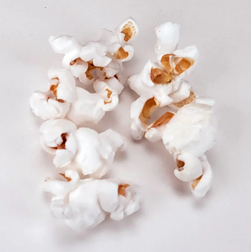 POPCORN KERNELS Butterfly kg