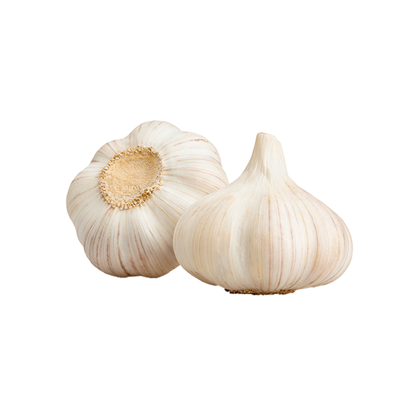 White Garlic - kg