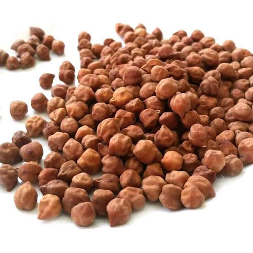 BLACK CHANNA KG