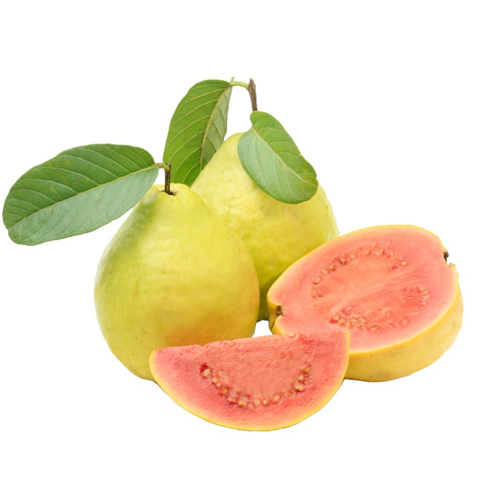 Fresh Guava - kg