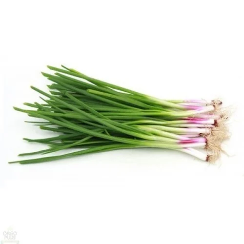 Fresh Spring Onion -  kg
