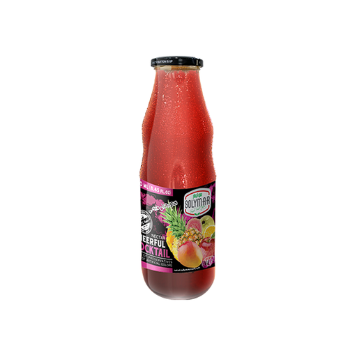 Solymarfood Cocktail Nectar Bottle 1ltr